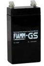 Аккумуляторная батарея Fiamm FG10381