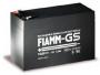 Аккумуляторная батарея Fiamm FG20722